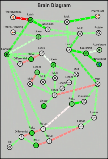 Graphe du cerveau d'une créature de The Bibites : des capteurs (phéromones, cap, horloge) reliés par des connexions vertes et rouges à des nœuds Linear, ReLu, Gaussian, Mult, Latch et Differential, jusqu'aux sorties Accelerate, Rotate et émission de phéromones